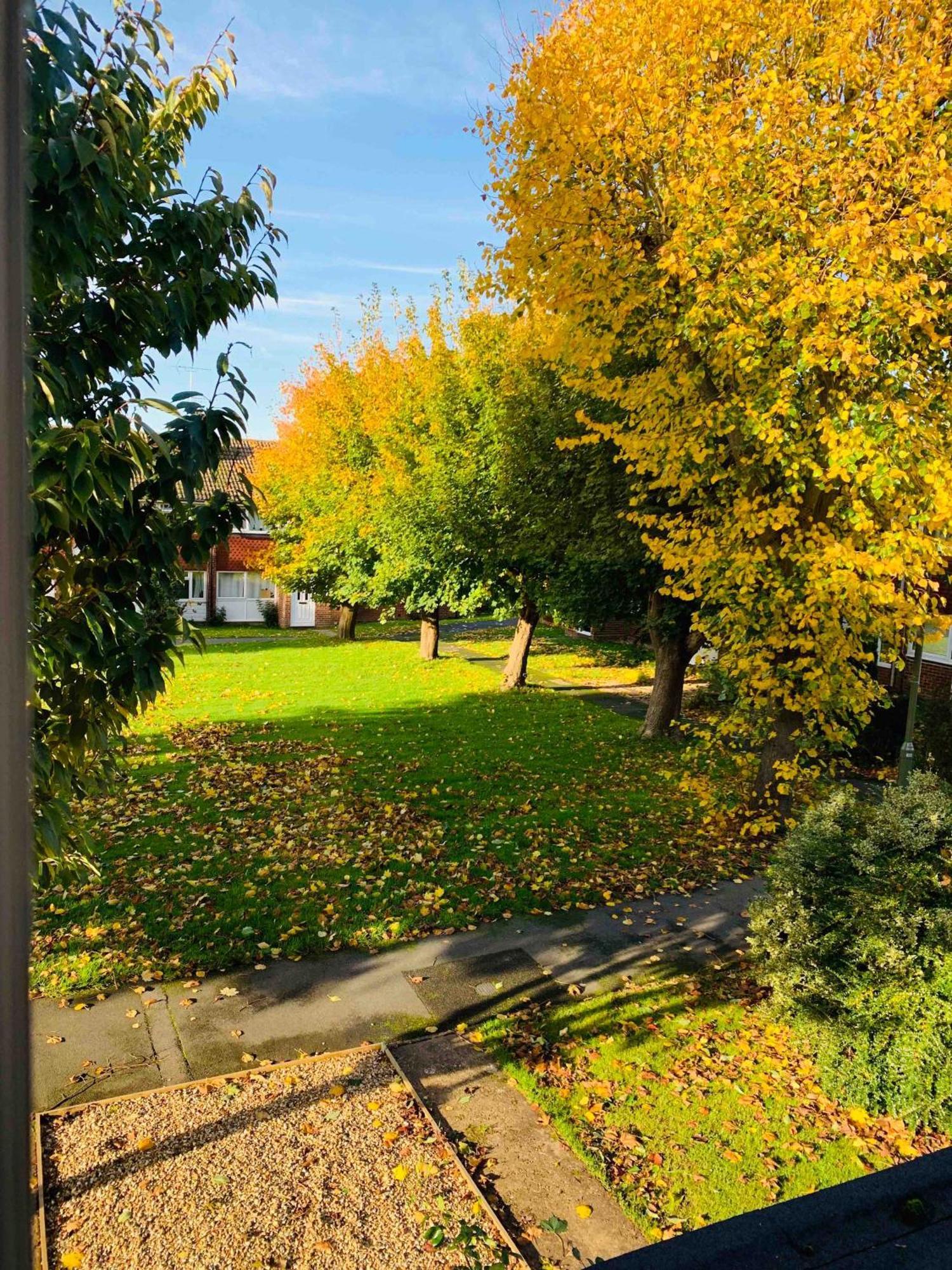 Spacious House, Free Parking & Patio Garden Farnham  Eksteriør billede